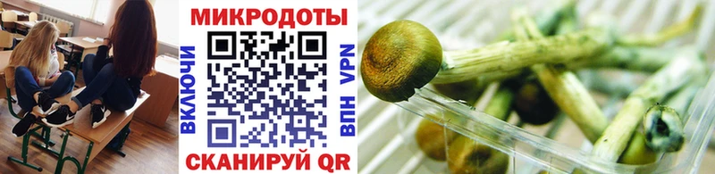 что такое наркотик  Находка  Псилоцибиновые грибы мицелий 