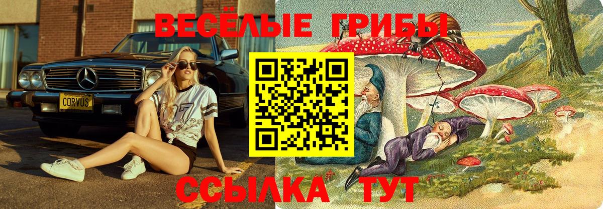 Находка  Галлюциногенные грибы Magic Shrooms  Вход с VPN 